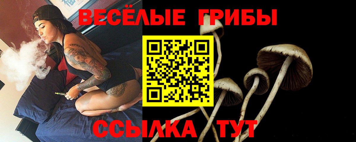 Галлюциногенные грибы GOLDEN TEACHER  Вход с VPN  Ахтубинск 
